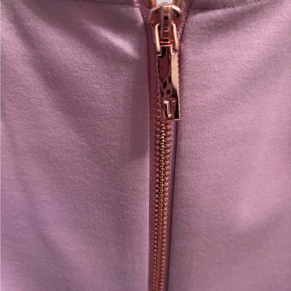 Ted Baker Lilac Dress with Rose Gold Zipper - Picture 4 of 6